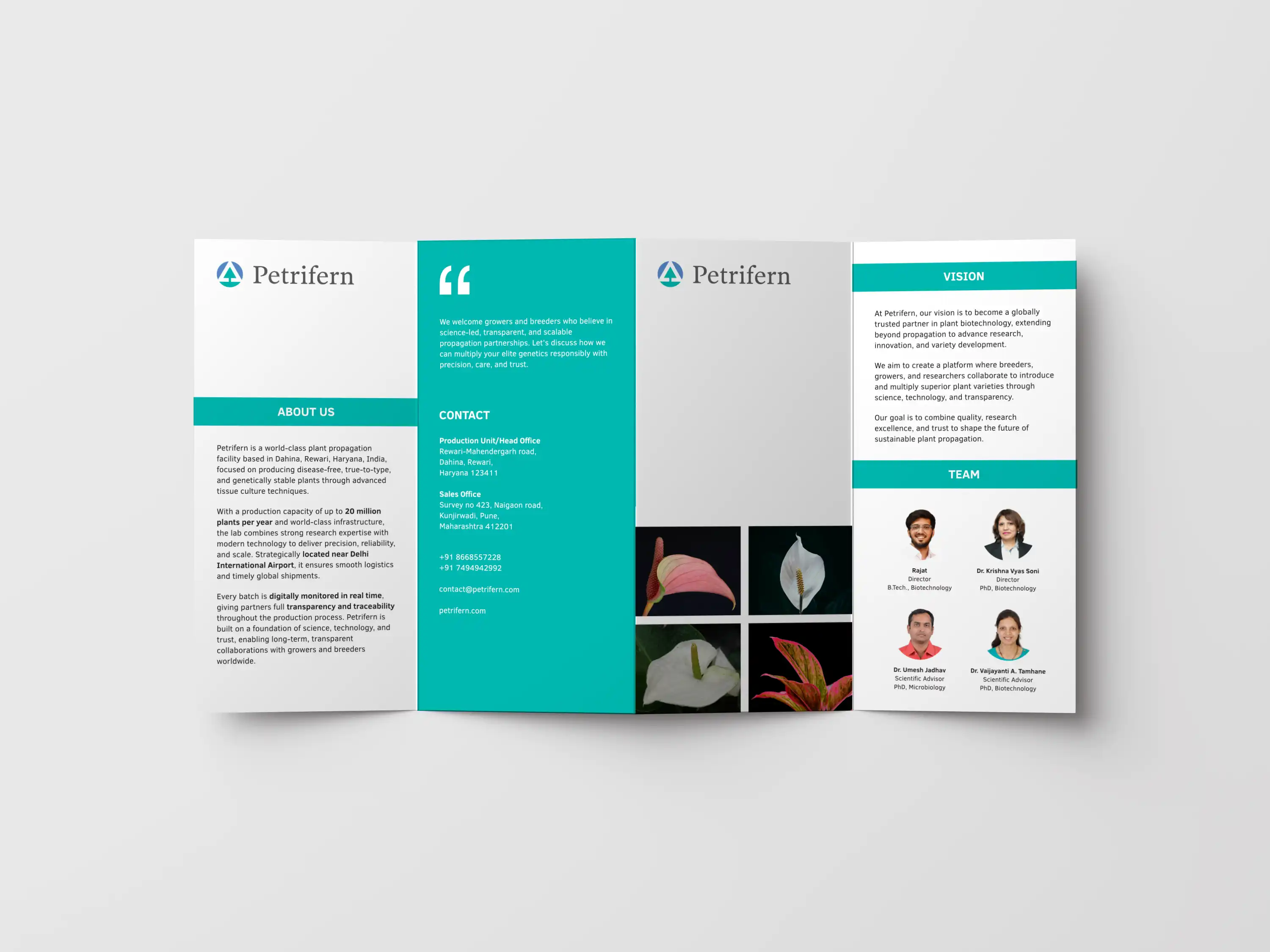 Petrifern Brochure