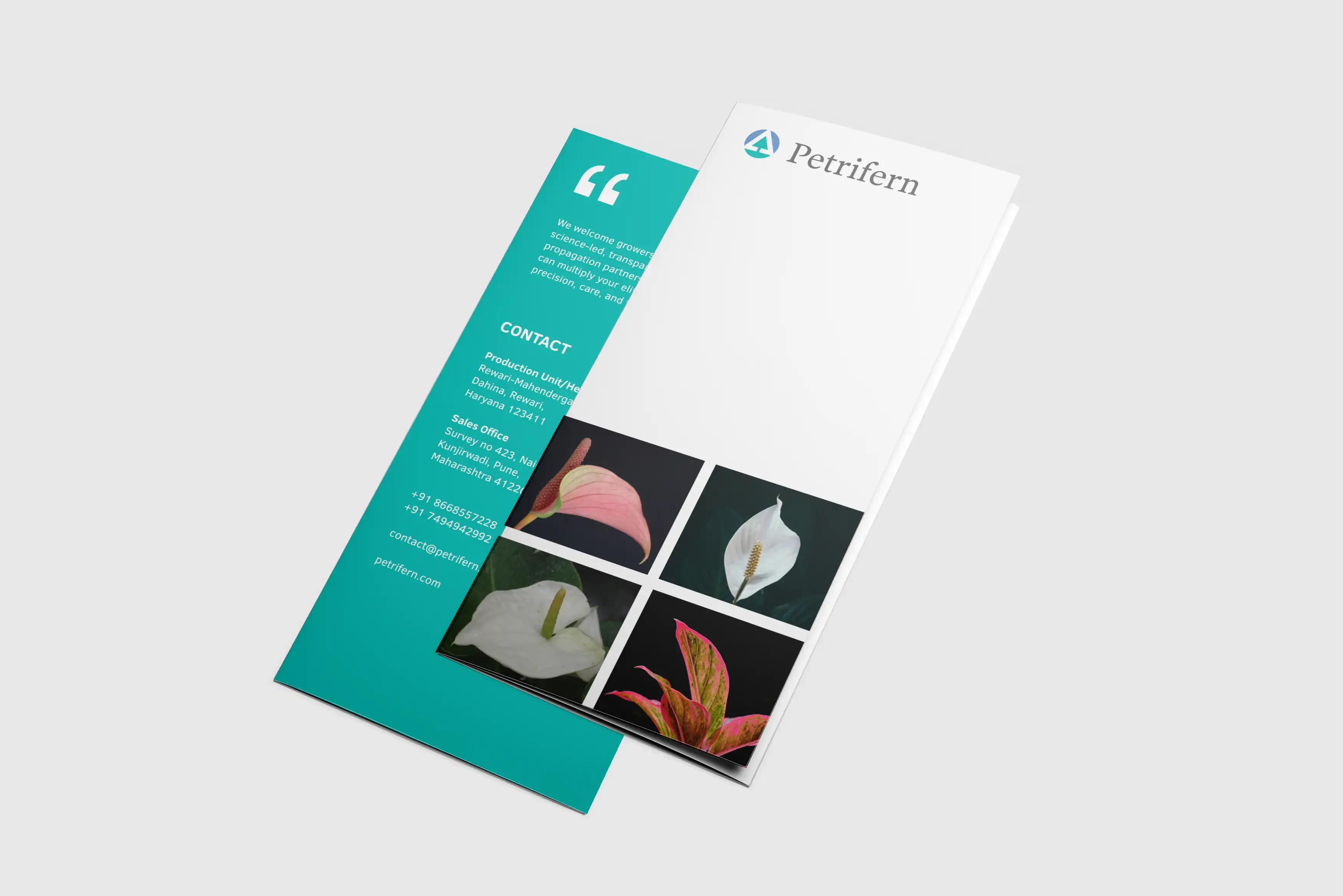 Petrifern Brochure
