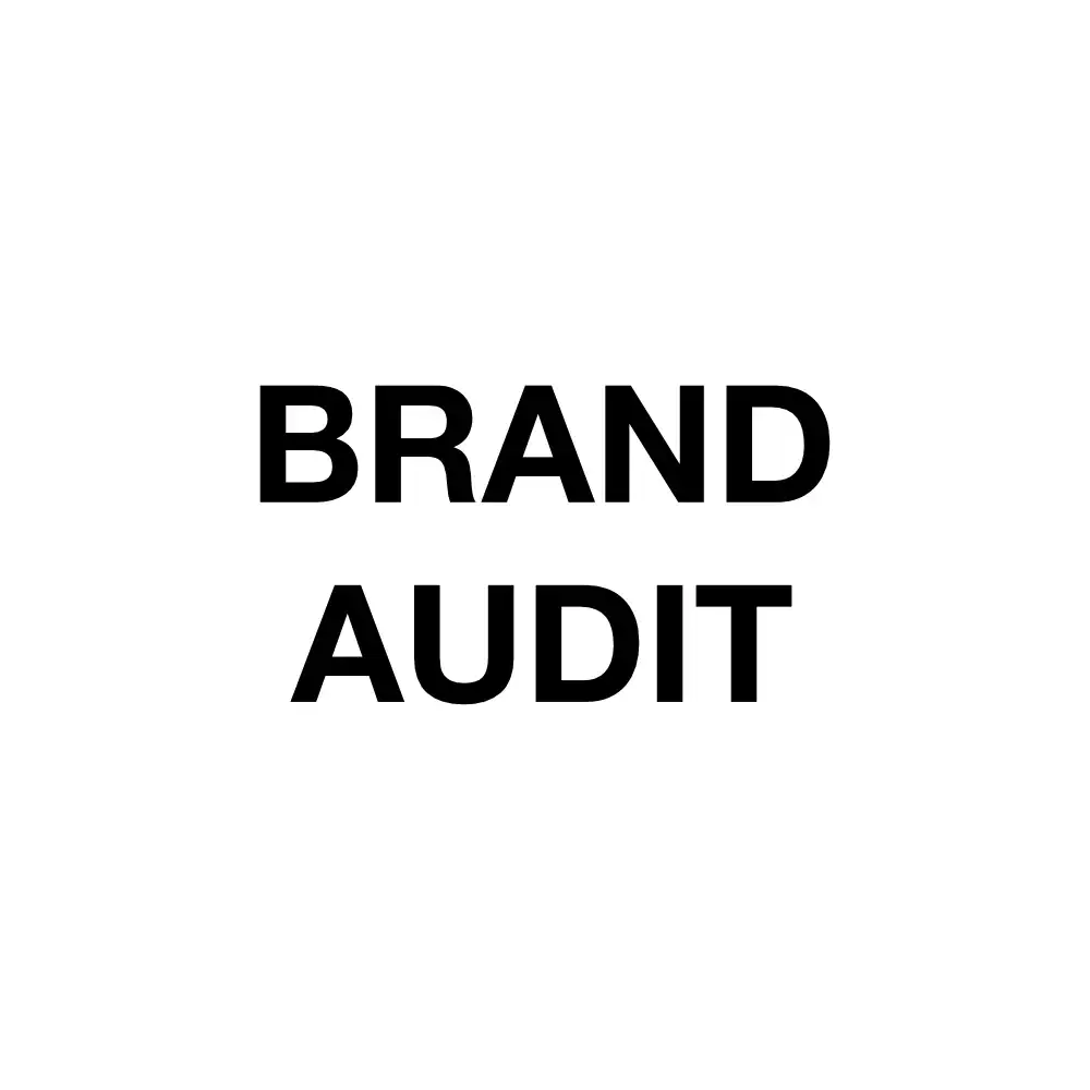 What is a Brand Audit?